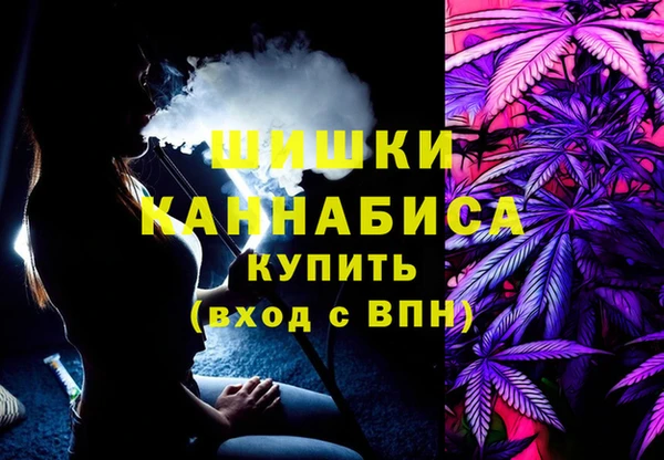 шишки Баксан