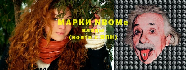шишки Баксан