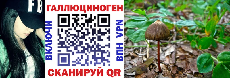 Галлюциногенные грибы Psilocybe  Полесск 